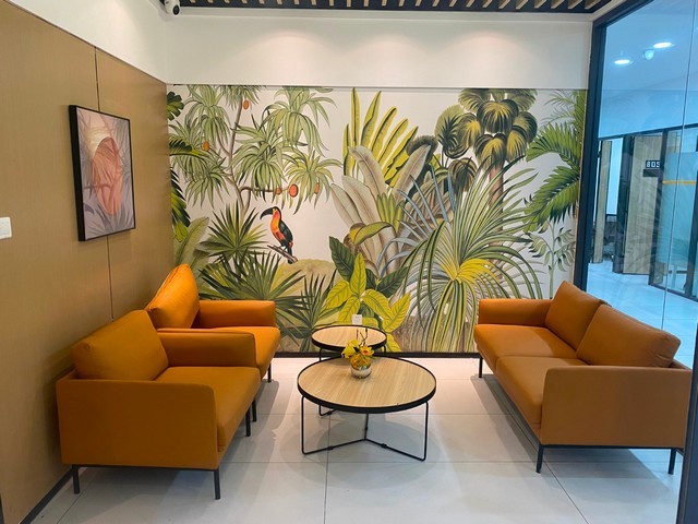 杭州白叶茶叶网上批发