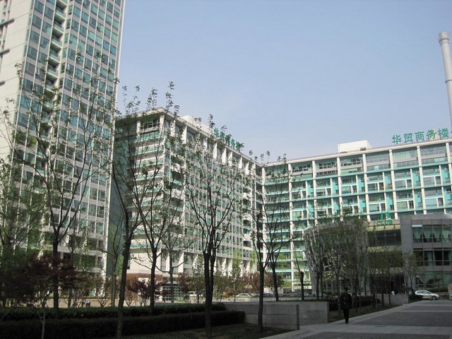 山东比格犬原代肝细胞中乔新舟